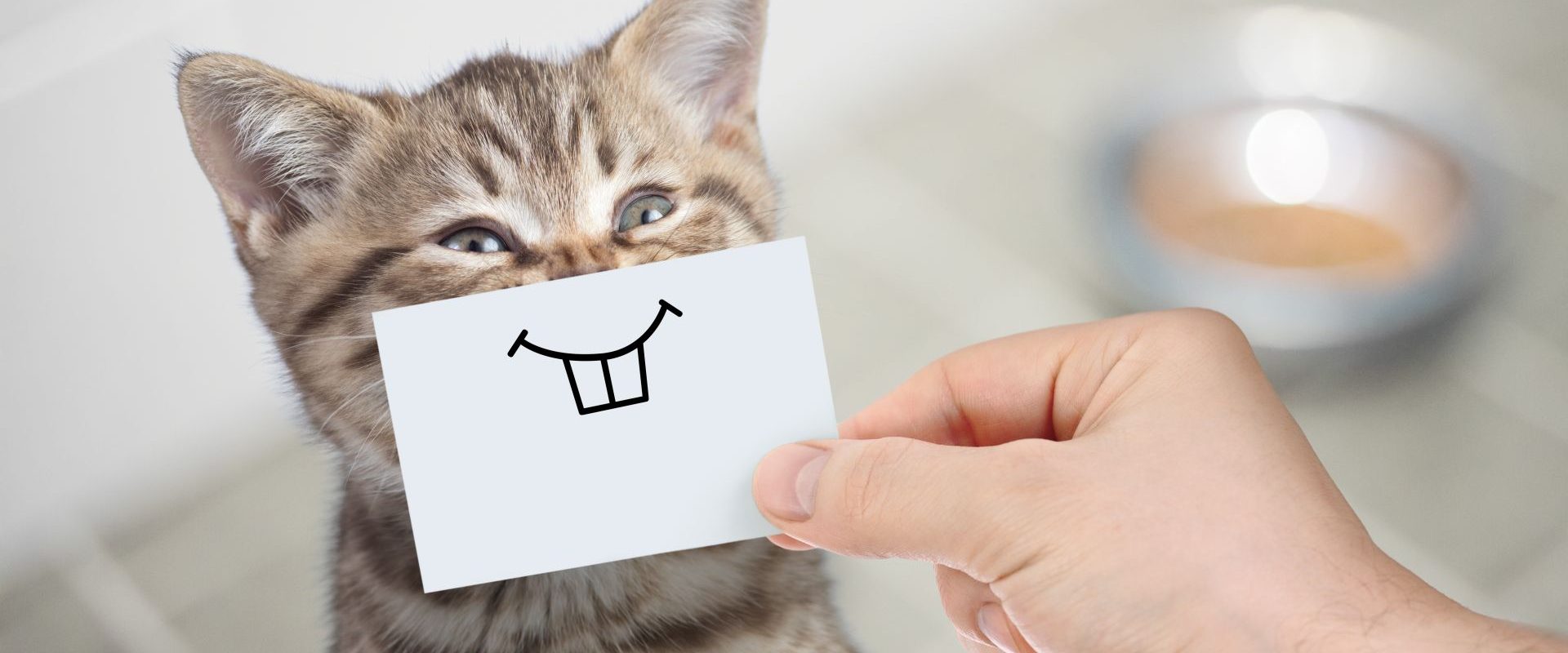 Umorul, secretul longevității: Râzi mult și trăiești mai mult!