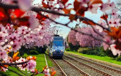 Maraton de evenimente în București: Ce nu trebuie să ratezi în capitală
