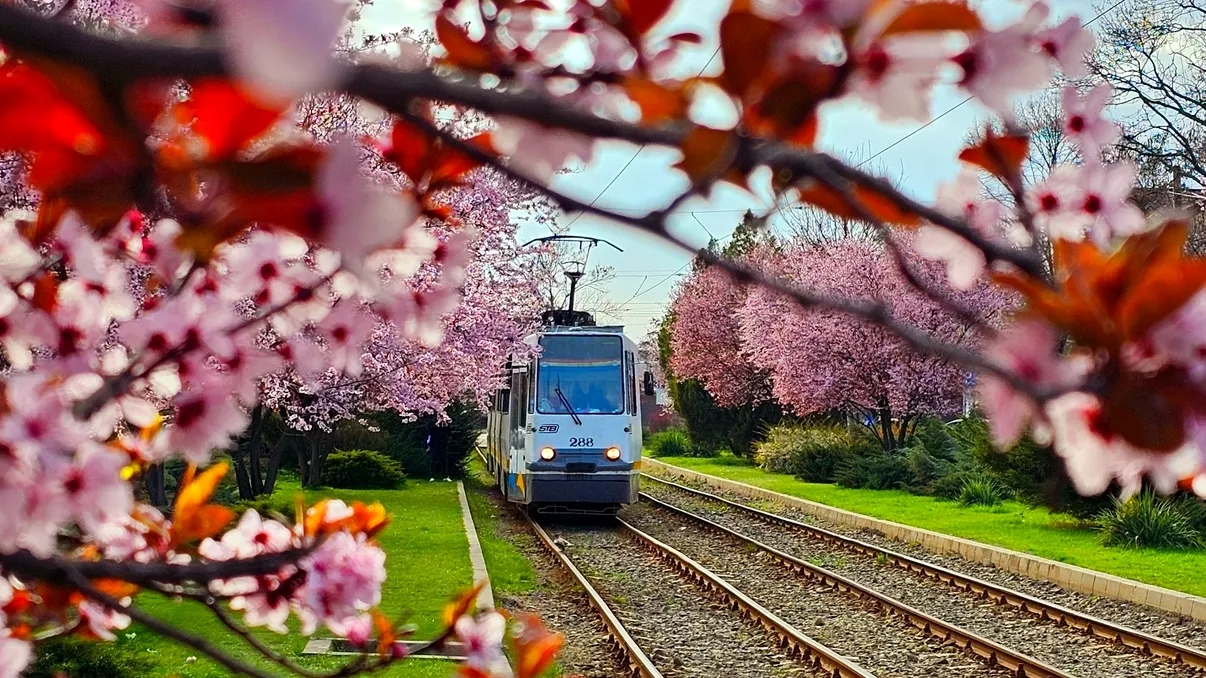 Maraton de evenimente în București: Ce nu trebuie să ratezi în capitală