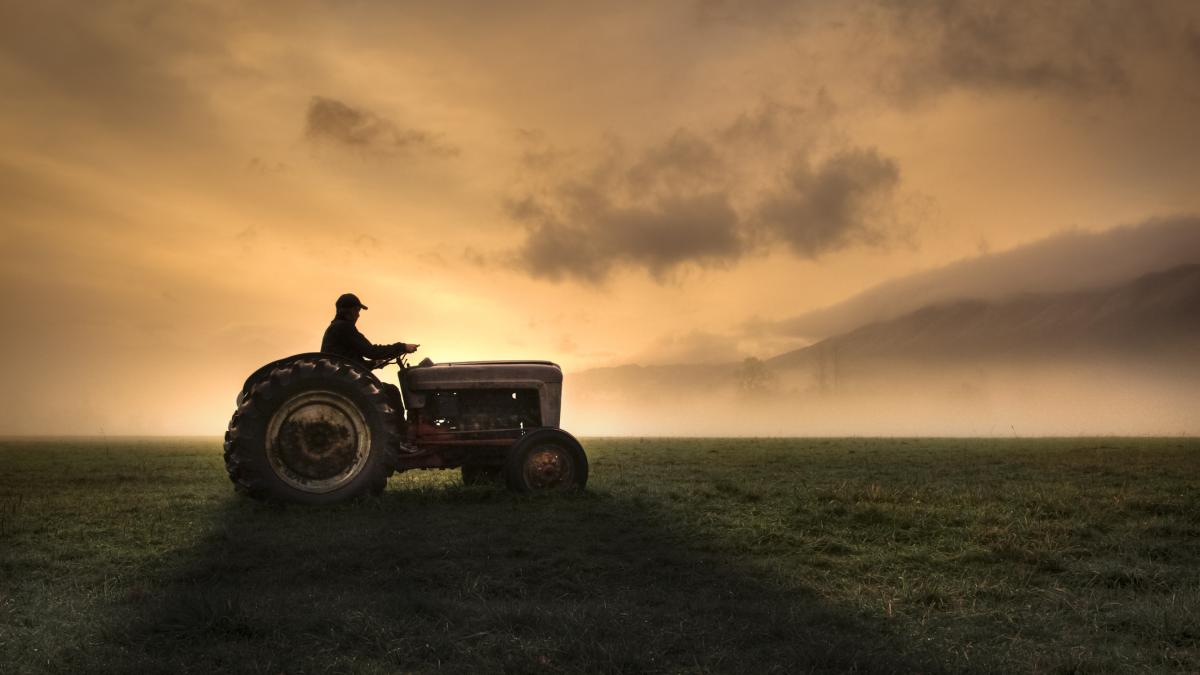 Fermierii, strigăt de alarmă: Guvernul și UE, „lăsați prostiile” în agricultură