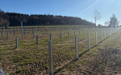 Românii de la Parapet construiesc un parc fotovoltaic în Germania – FOTO