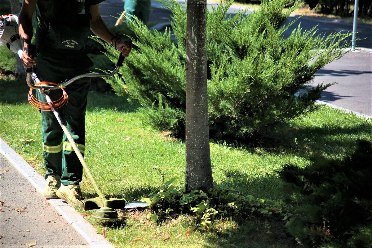 Comasarea parcurilor cu cimitirele din București, contestată în instanță