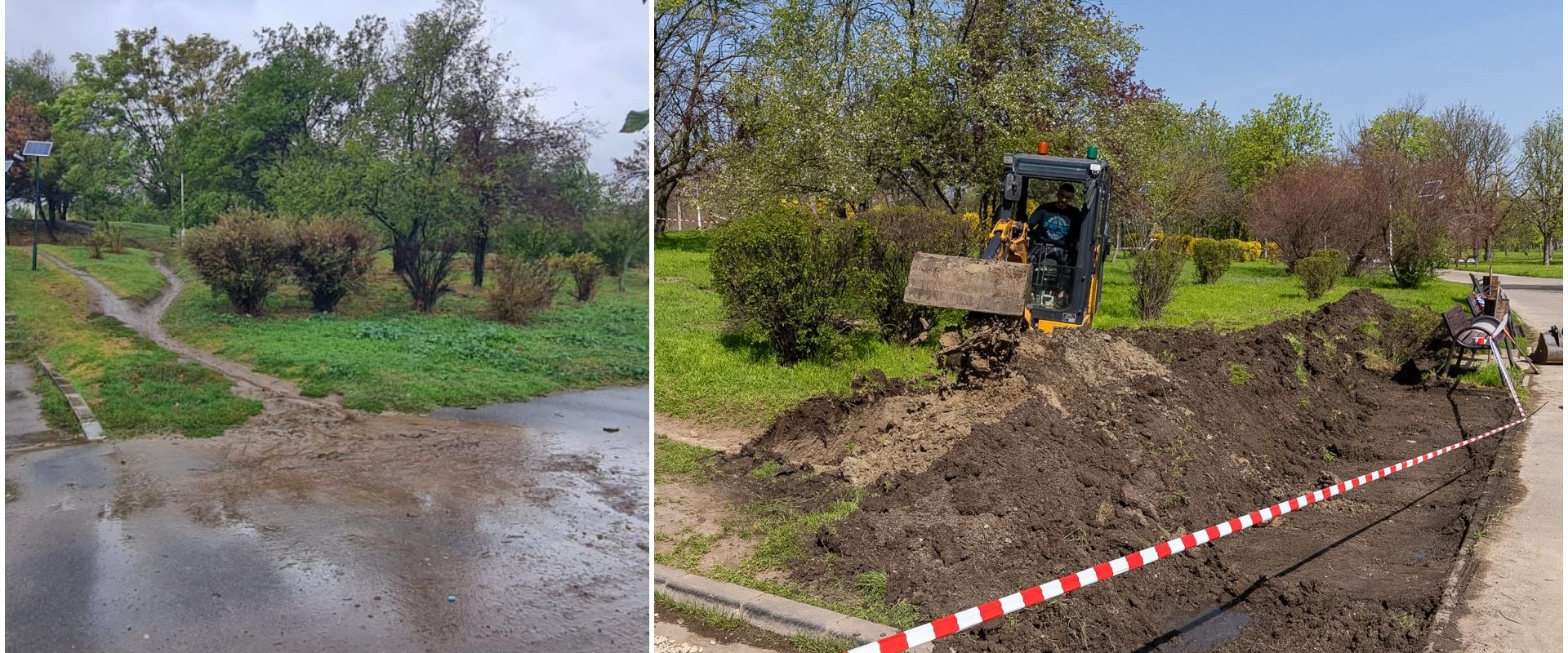 Debut istoric în București: Prima grădină de ploaie, în Parcul Tineretului