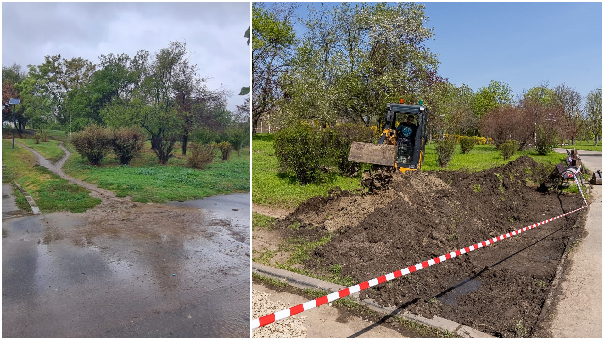 Debut istoric în București: Prima grădină de ploaie, în Parcul Tineretului
