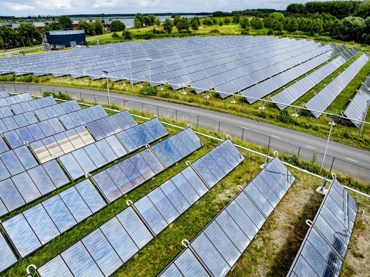 Furtună într-un sat din România: Un mega-proiect solar dezbină comunitatea