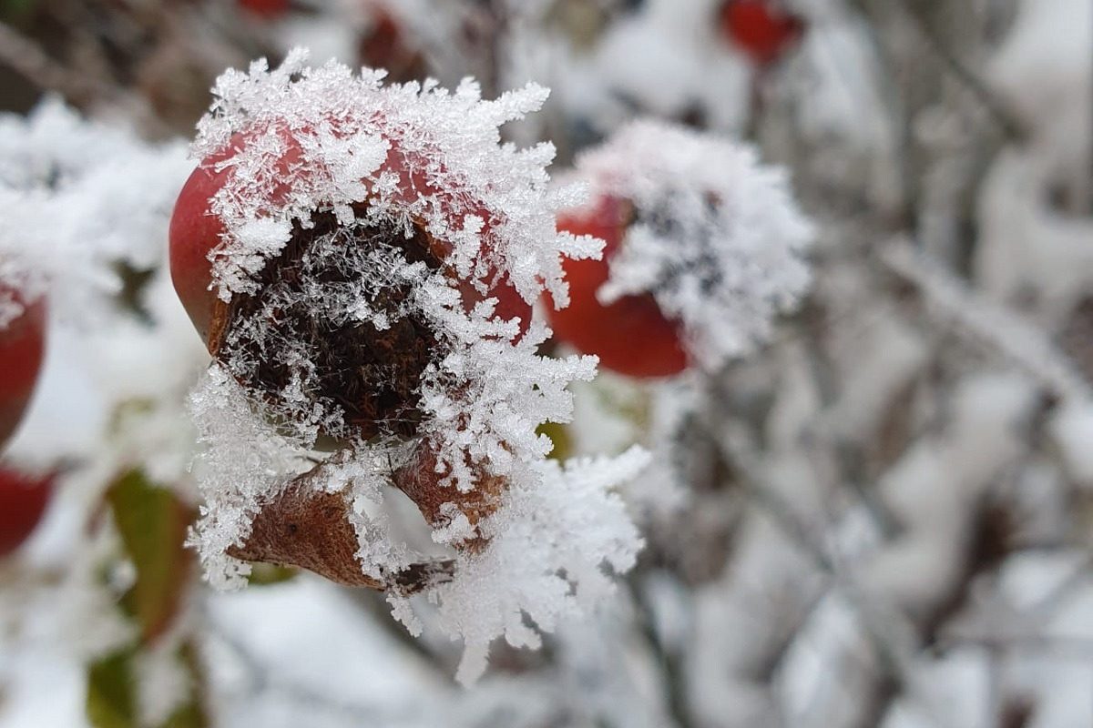 Ninsori și lapoviță de Paște: Jumătate din România, sub cod galben