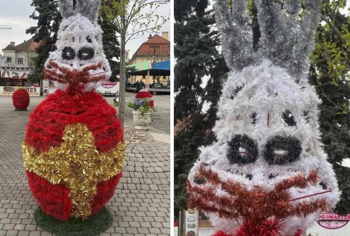 Iepurașii horror din Baia Mare șochează! „Te doare mintea”, spun localnicii