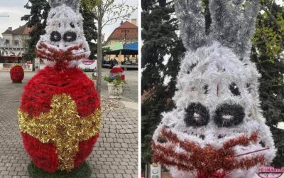 Iepurașii horror din Baia Mare șochează! „Te doare mintea”, spun localnicii