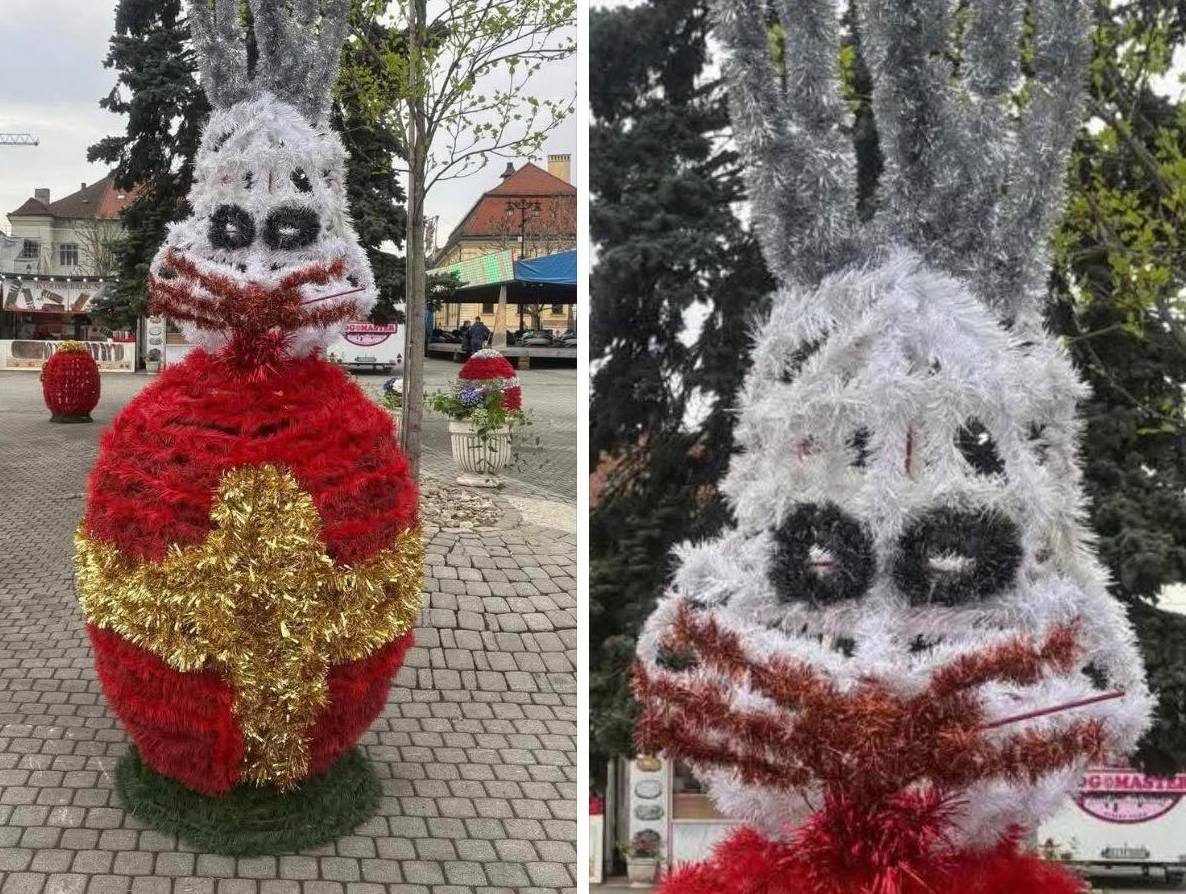 Iepurașii horror din Baia Mare șochează! „Te doare mintea”, spun localnicii