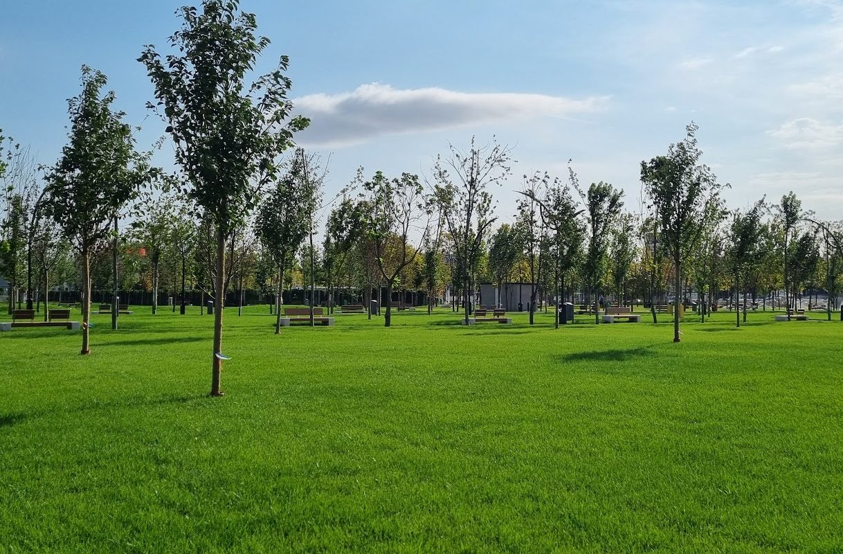 Băluță, parc dedicat lui donald j Trump: 20 de minute de negocieri pentru sectorul 4