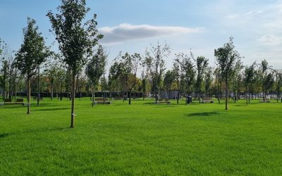 Băluță, parc dedicat lui donald j Trump: 20 de minute de negocieri pentru sectorul 4