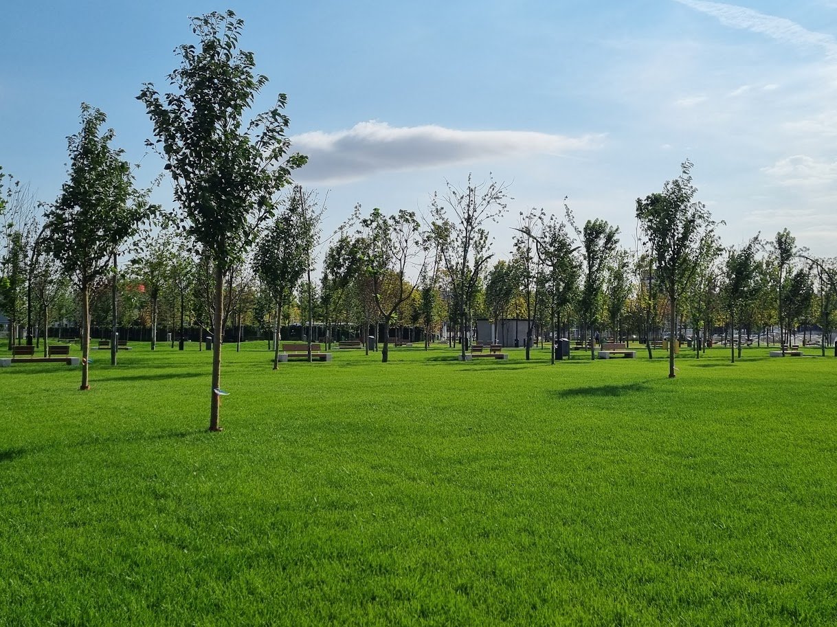 Băluță, parc dedicat lui donald j Trump: 20 de minute de negocieri pentru sectorul 4