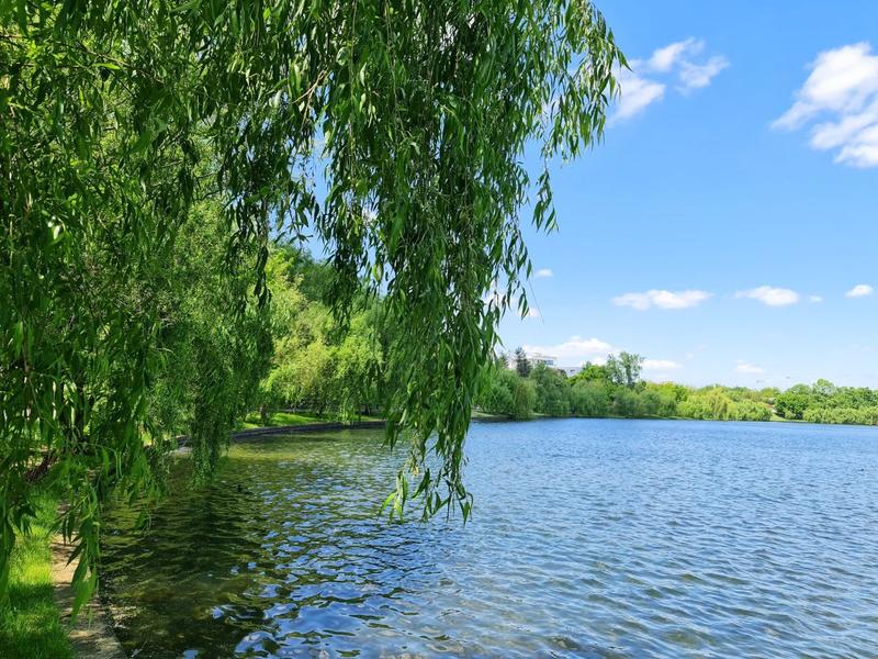 Sâmbătă, ploi însemnate, duminică temperaturi de primăvară: prognoza meteo pentru weekend Vremea se schimbă radical în acest weekend, cu o tranziție de la ploi abundente la temperaturi de primăvară, anunță meteorologii