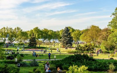 Festivaluri de film: O’Clock, Alpin Film, Hanami – weekend plin, București