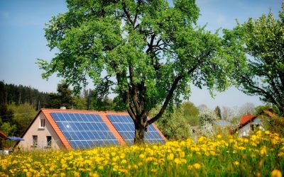 Lemnul magic: Inginerii au creat sursă de energie solară… Și pe timp de noapte