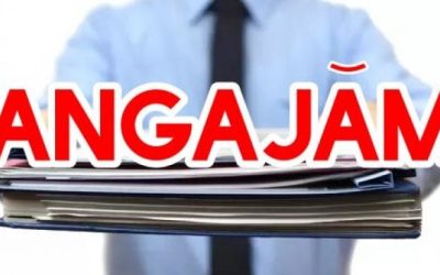 Angajări nebune în România: Firmele „se bat” pe șoferi, curieri și necalificați