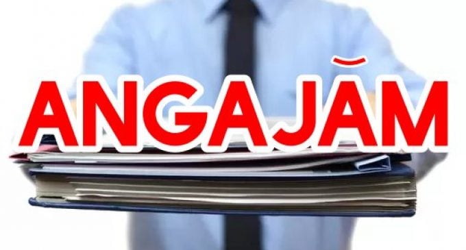 Angajări nebune în România: Firmele „se bat” pe șoferi, curieri și necalificați