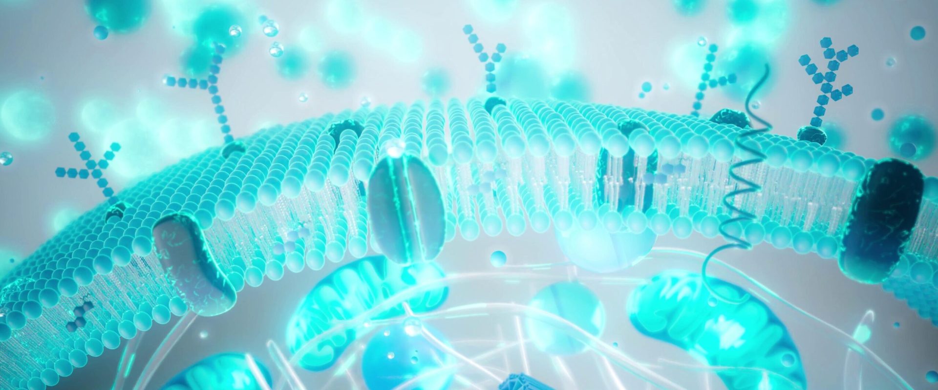 Tinerețe pe bani: Câtă știință e în „industria longevității”?