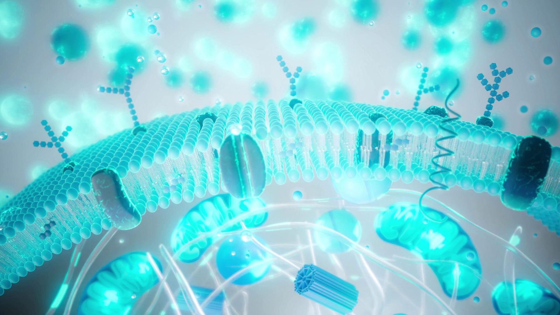 Tinerețe pe bani: Câtă știință e în „industria longevității”?