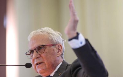 Andruh, nou președinte al Academiei Române: Cine e omul de știință