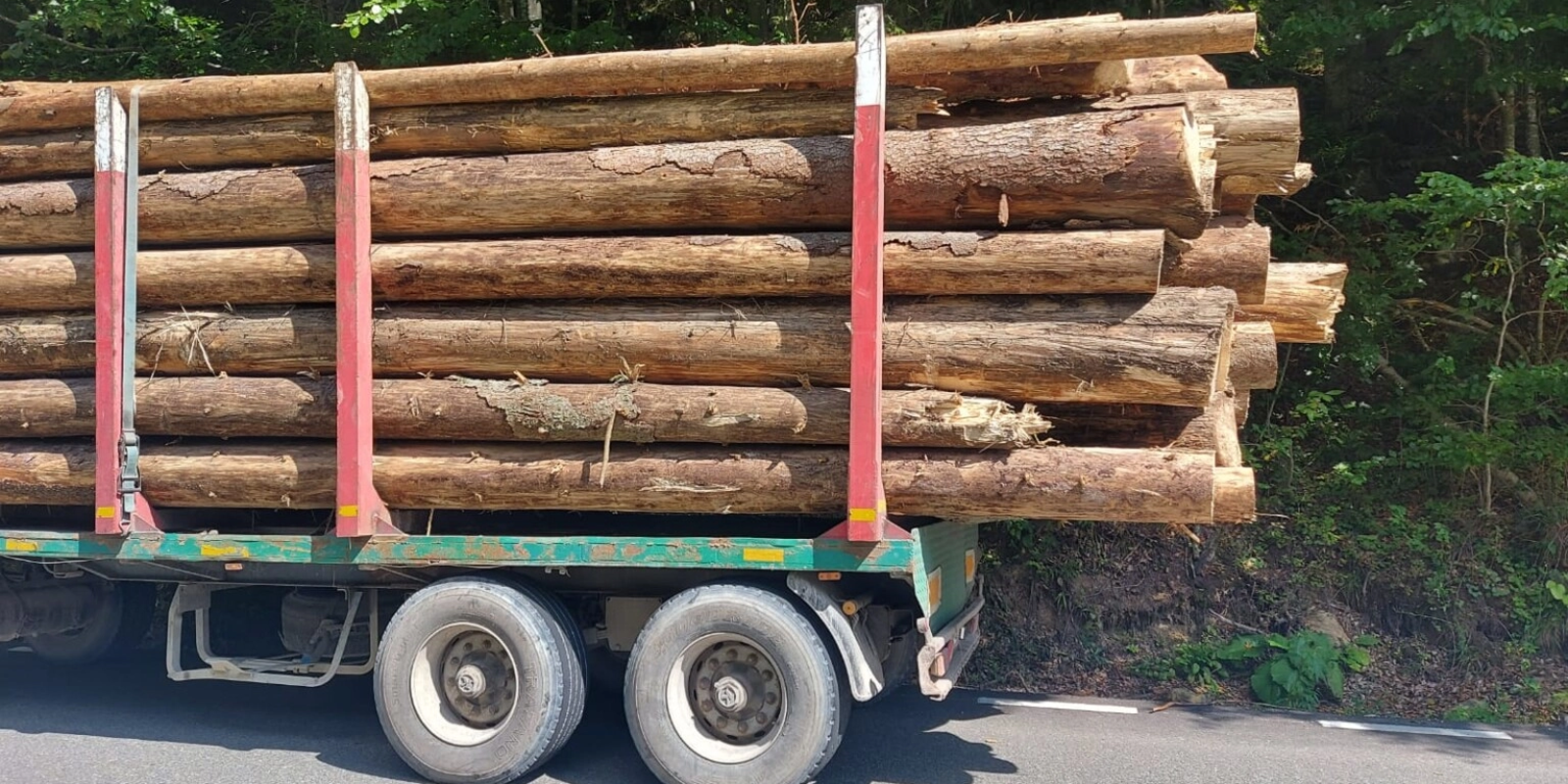 Marfă de lemn, cu probleme: Autoutilitară prinsă cu diferențe la cantitate în trafic