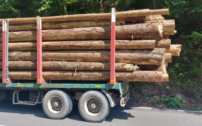 Marfă de lemn, cu probleme: Autoutilitară prinsă cu diferențe la cantitate în trafic