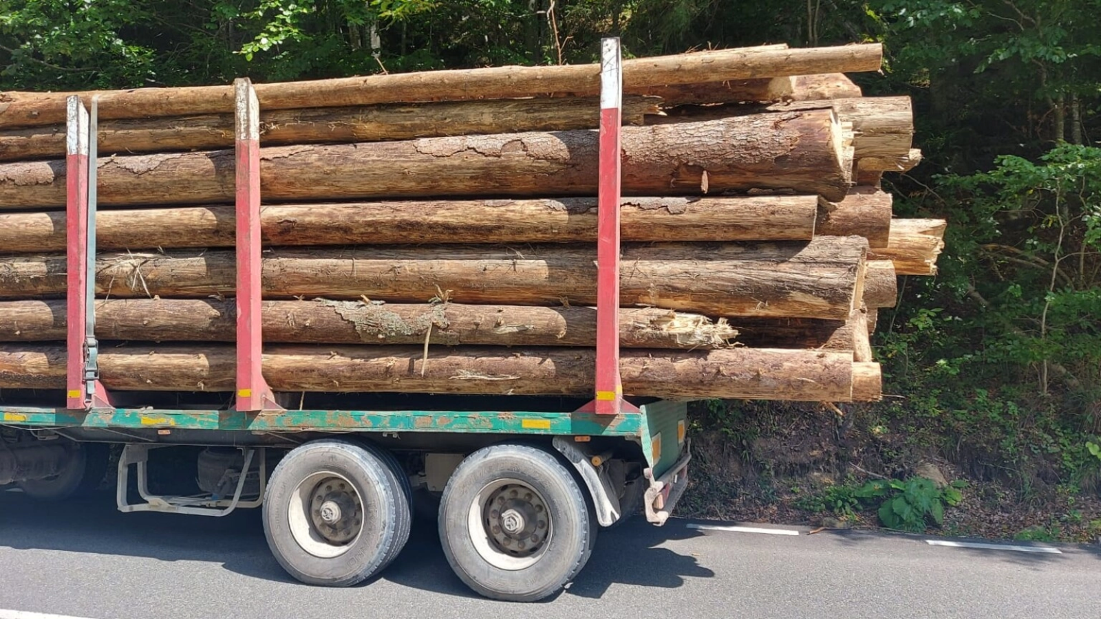 Marfă de lemn, cu probleme: Autoutilitară prinsă cu diferențe la cantitate în trafic