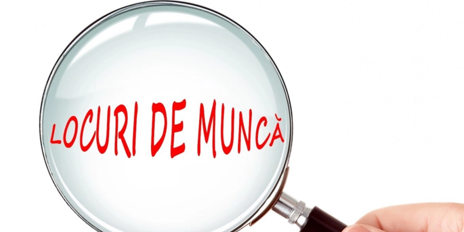 Cele mai bune joburi în România: Ce salarii merită românii în 2024