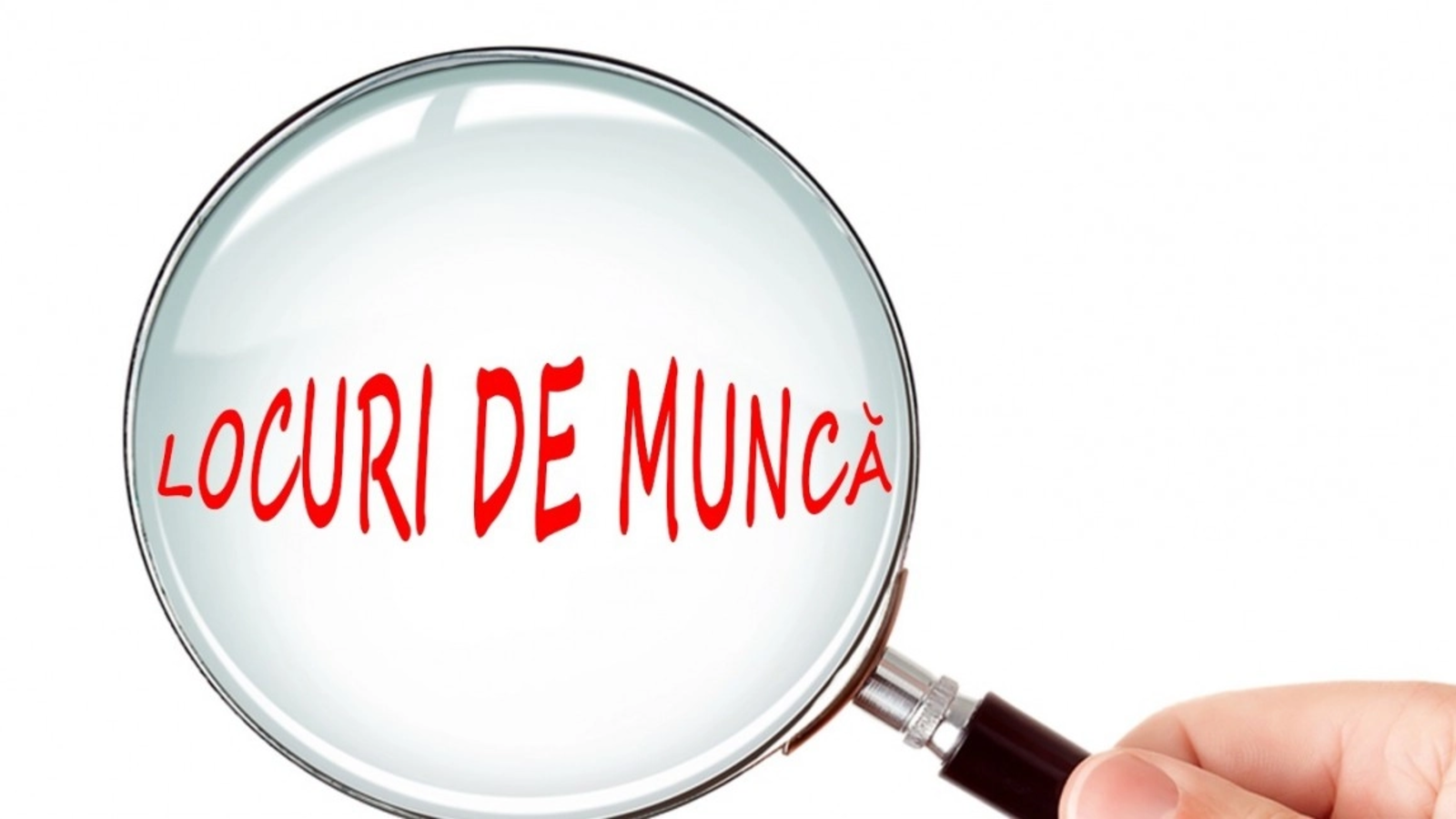 Cele mai bune joburi în România: Ce salarii merită românii în 2024