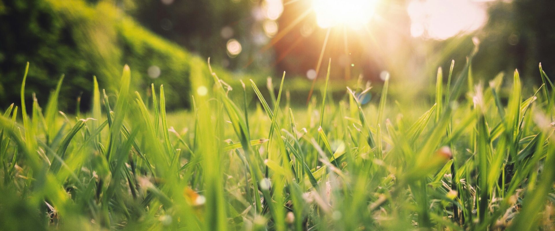 Vreme caldă, dar cu ploi: Unde se va strica vremea în România