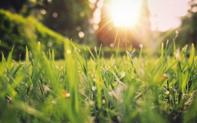 Vreme caldă, dar cu ploi: Unde se va strica vremea în România