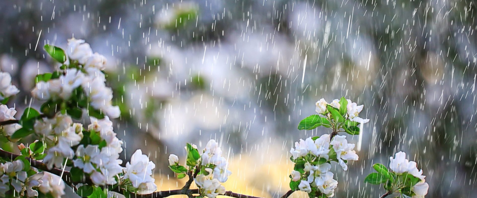 Vine frigul! Meteorologii anunță ploi torențiale în toată România