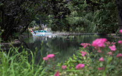 Vreme de primăvară de joi, cu ploi slabe: Prognoza meteo pentru marii creștini