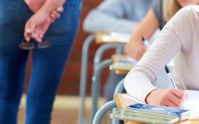 Ministerul Educației, explicații despre învățământul dual: Beneficii și domenii