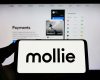 Mollie, gigantul plăților, intră în România: Vizează afacerile blocate