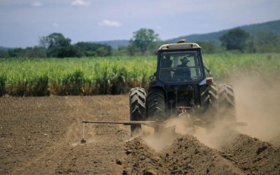 Nicuşor Dan: România are rezerve de îngrășăminte. Cetățenii, liniștiți