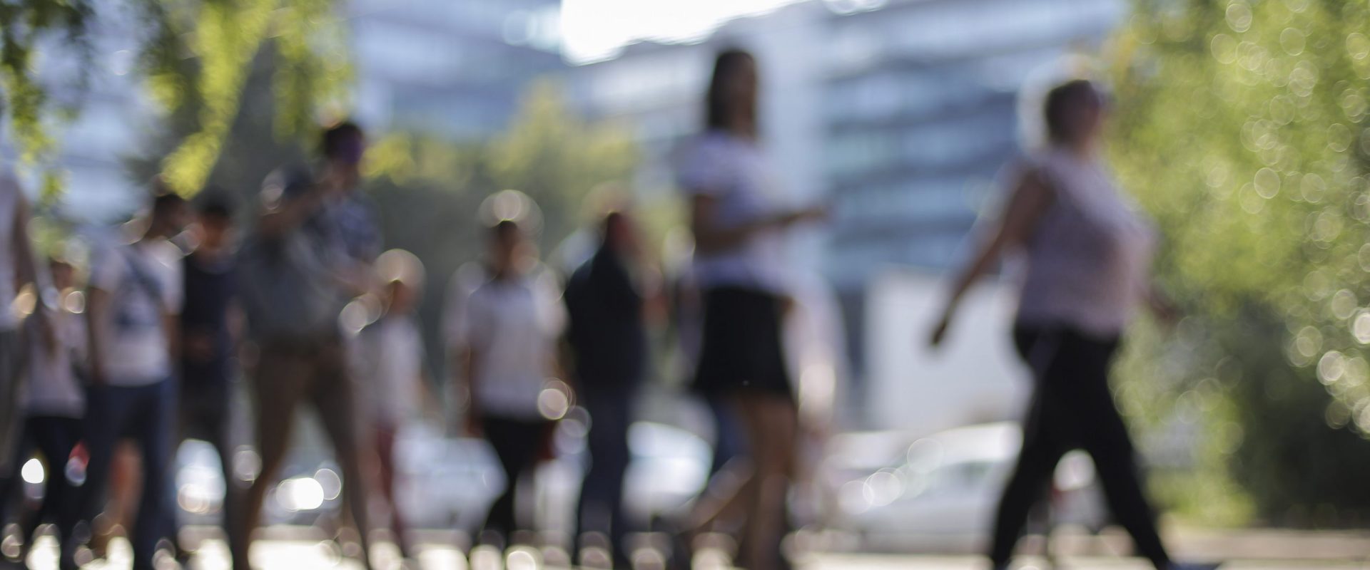 Hărghita: 200 de șomeri au învățat limba română pentru a găsi un loc de muncă