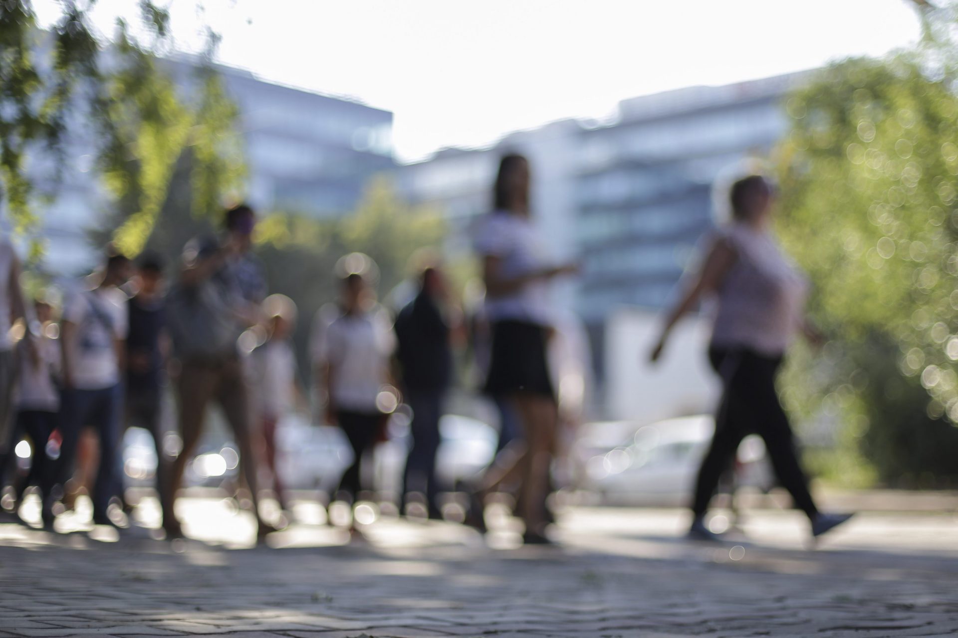 Hărghita: 200 de șomeri au învățat limba română pentru a găsi un loc de muncă