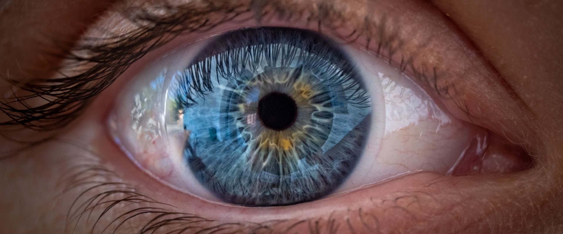 Ochii văd culorile! Studiu revoluționar despre focalizare, nu doar claritate