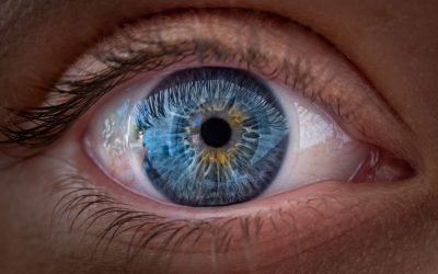 Ochii văd culorile! Studiu revoluționar despre focalizare, nu doar claritate