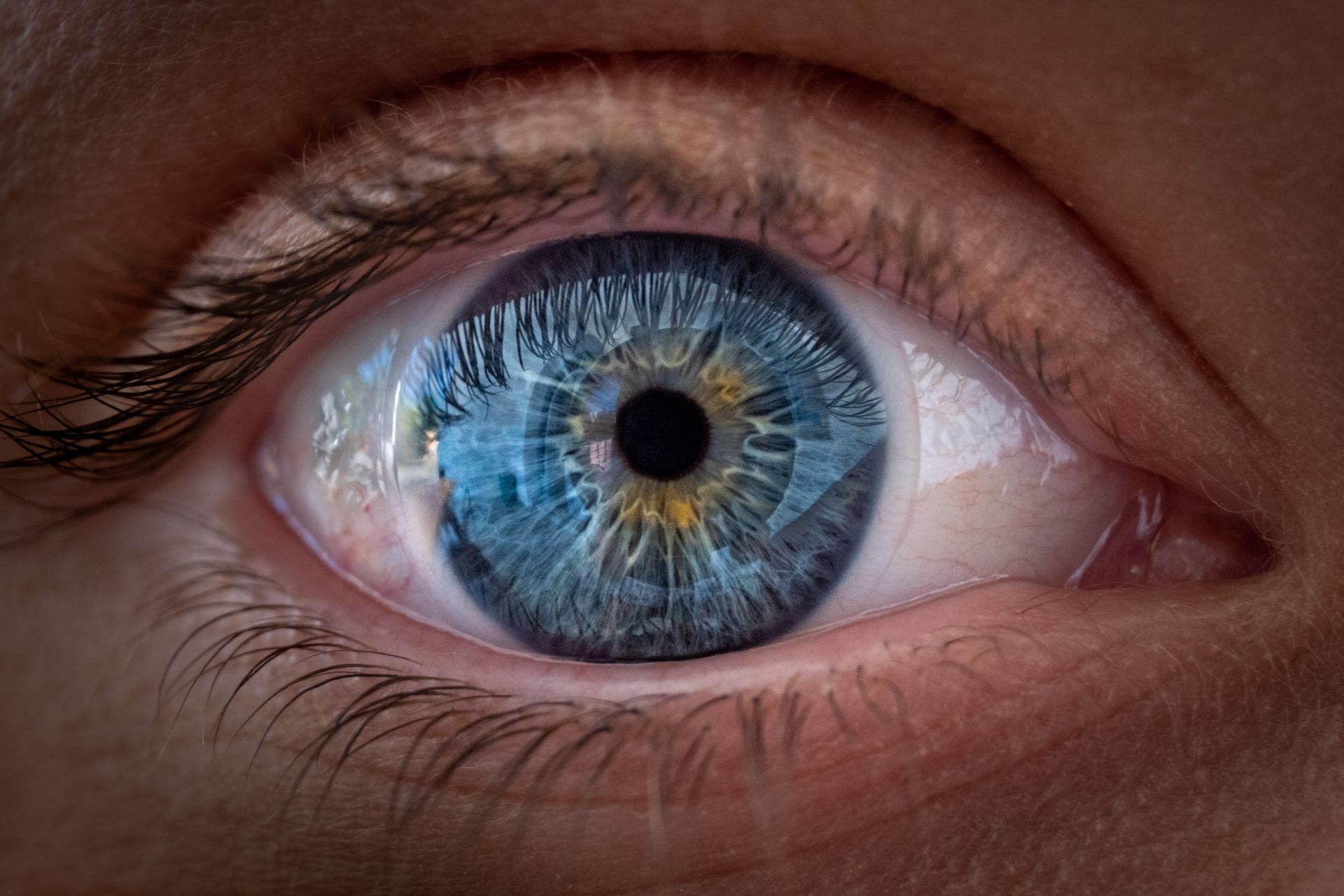 Un nou studiu revoluționar schimbă modul în care înțelegem funcționarea ochiului uman, sugerând că acesta nu se concentrează doar pe obținerea celei mai clare imagini posibile, ci optimizează procesarea culorilor pentru o vedere mai eficientă