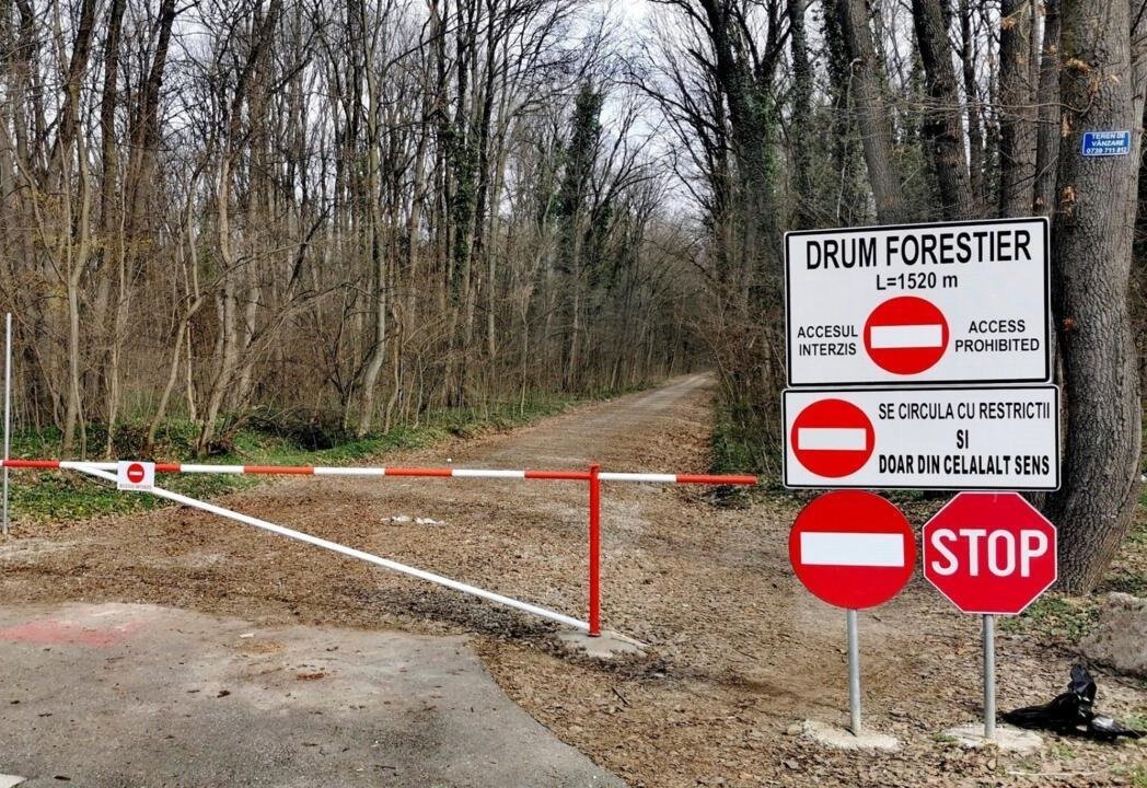Mașinile, INTERZISE în Pădurea Băneasa: Romsilva blochează drumul forestier