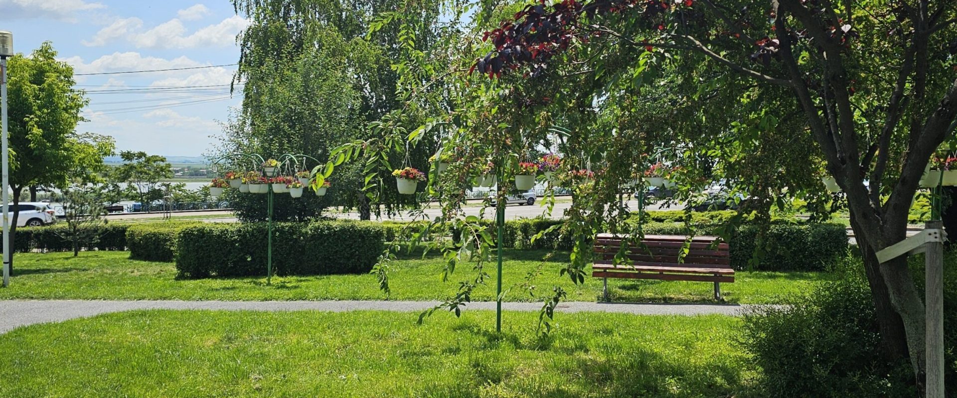 Amenzi drastice în România: Interdicții în parcuri și spațiul public