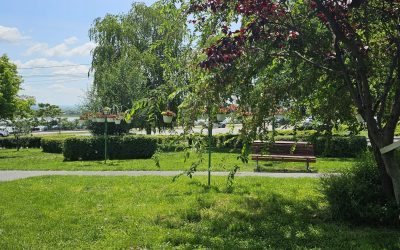 Amenzi drastice în România: Interdicții în parcuri și spațiul public