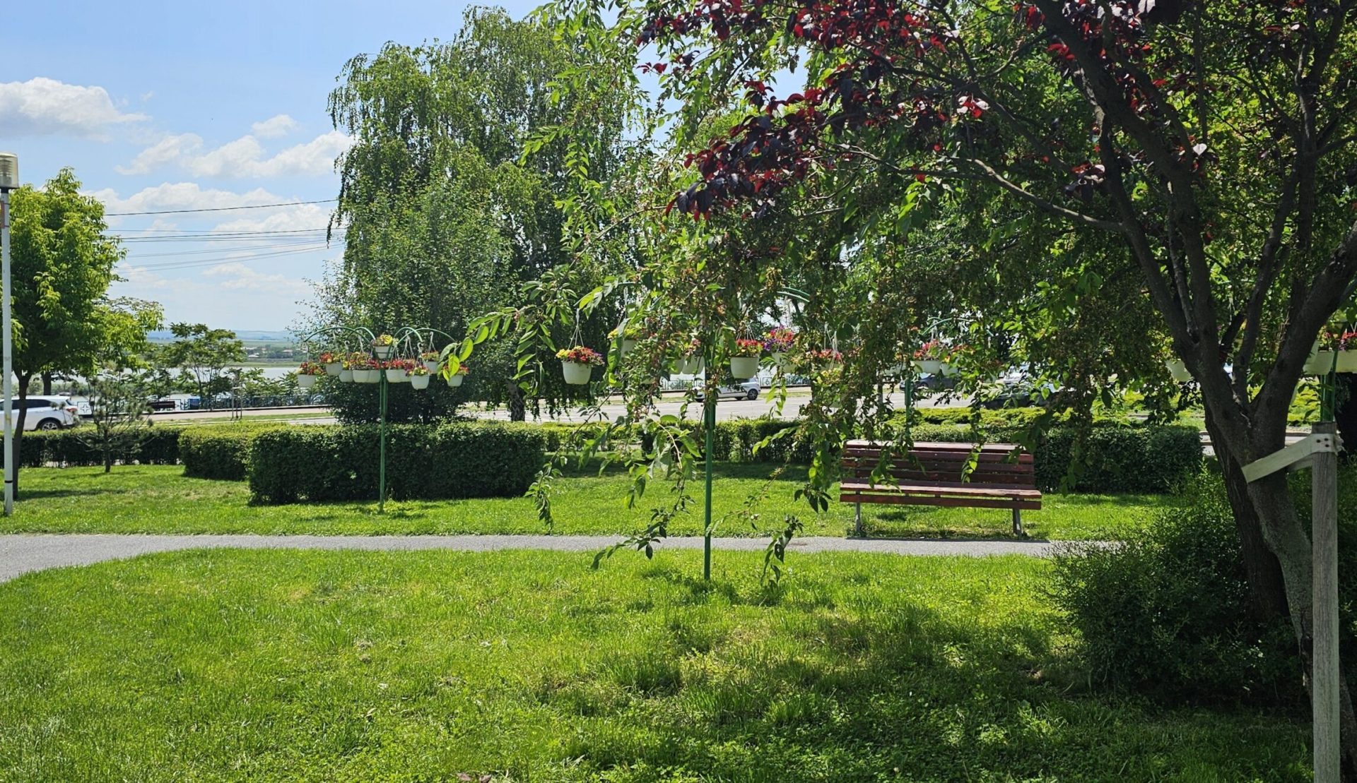 Amenzi drastice în România: Interdicții în parcuri și spațiul public