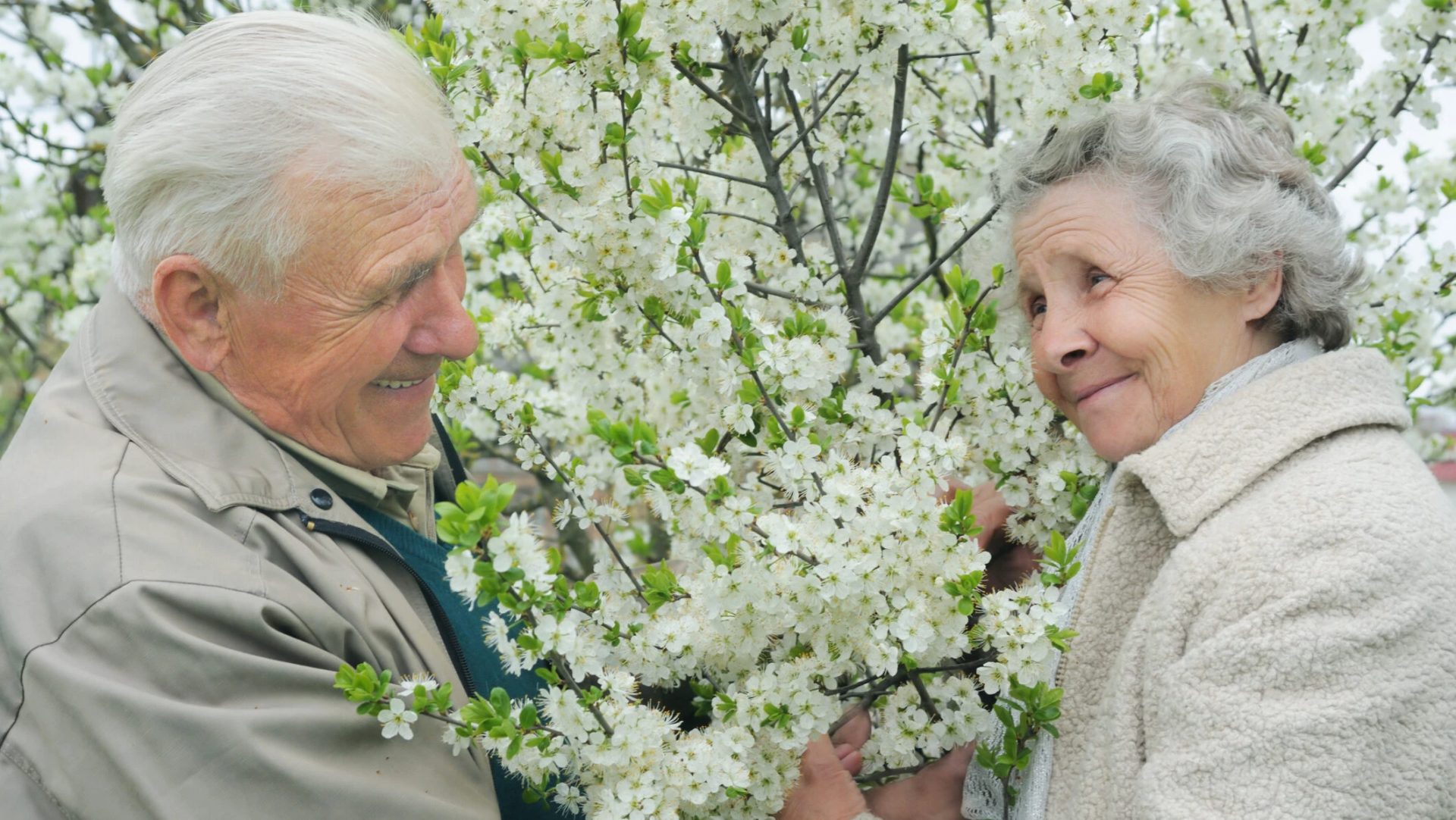 Pensiile cresc din 2026: Românii din Germania, mai mulți bani. Cât iau cei cu 1.500 de euro?