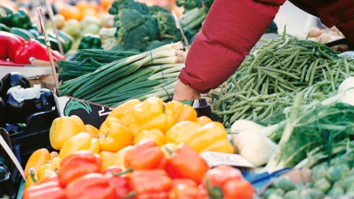 Mâncare expirată: Halde de alimente, confiscate în Ilfov. Amenzi usturătoare