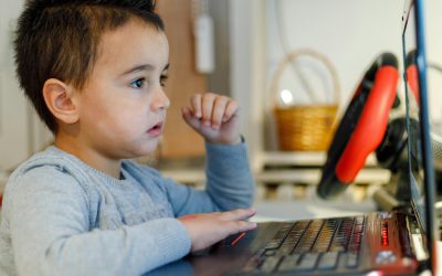 UE reunește experții, după lansarea aplicației de verificare a vârstei