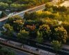 Galați: Patru păduri urbane, cu bani PNRR, oaza de verdeață pentru locuitori