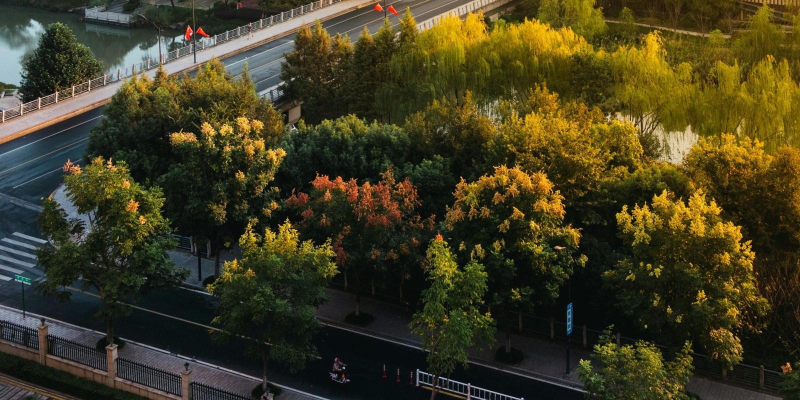 Galați: Patru păduri urbane, cu bani PNRR, oaza de verdeață pentru locuitori